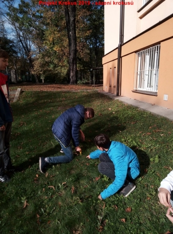 Projekt Krokus opět začíná!