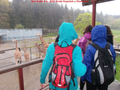 dscf2341