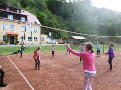 p10008391505917756