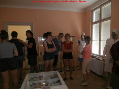 p5290491