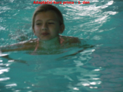 p1010108