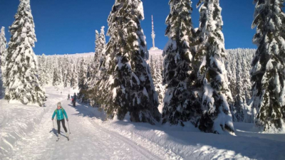 wp_20190123_10_41_30_pro_1000