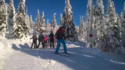wp_20190123_10_43_35_pro_1000