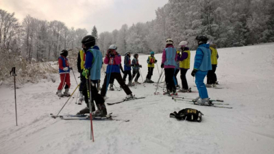 wp_20190125_11_56_52_pro_1000