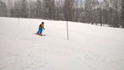 wp_20190125_11_40_58_pro_1000
