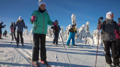 wp_20190123_11_27_48_pro_1000