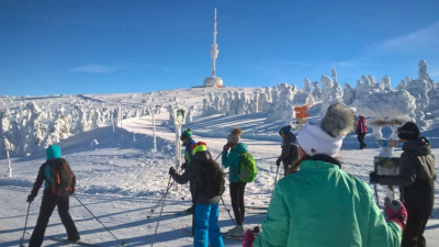 wp_20190123_11_24_52_pro_1000