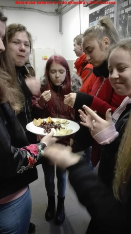 Exkurze 1.A do tropických skleníků v ZOO Ostrava
