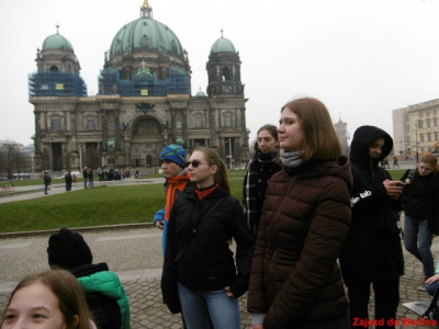 p10008541553513665