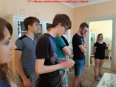 61837765_2281023865317806_1246258350904049664_n