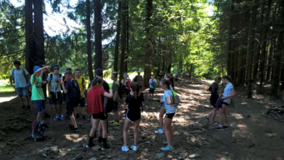 wp_20190625_09_50_24_pro_1000