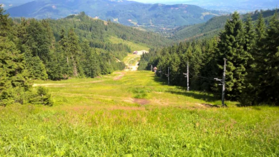 wp_20190625_10_25_37_pro_1000