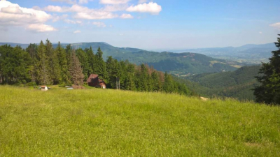 wp_20190625_10_28_56_pro_1000