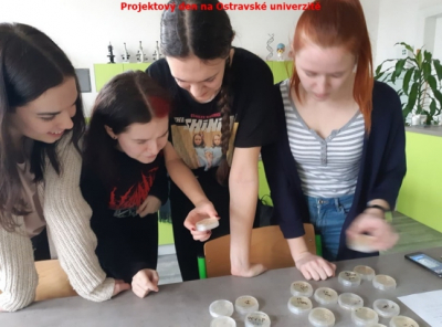 83779752_539233183344606_6232709093727928320_n