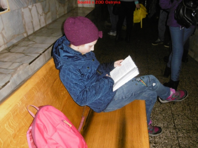 p1010091