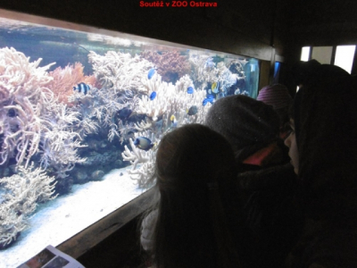 p1010089