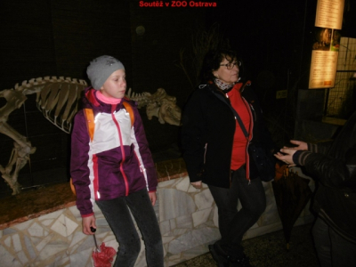 p1010087